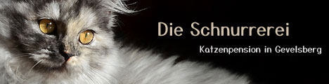 Banner-Schnurrerei